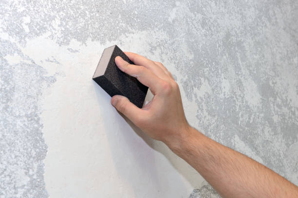 Best Comprehensive Air Testing for Mold Contaminants  in Pahala, HI