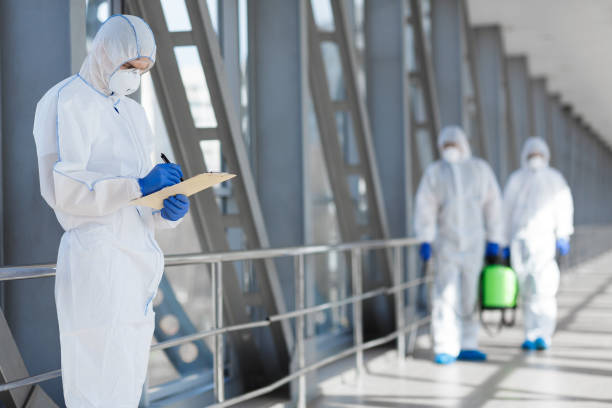Best Mold Remediation for Vacation Homes  in Pahala, HI