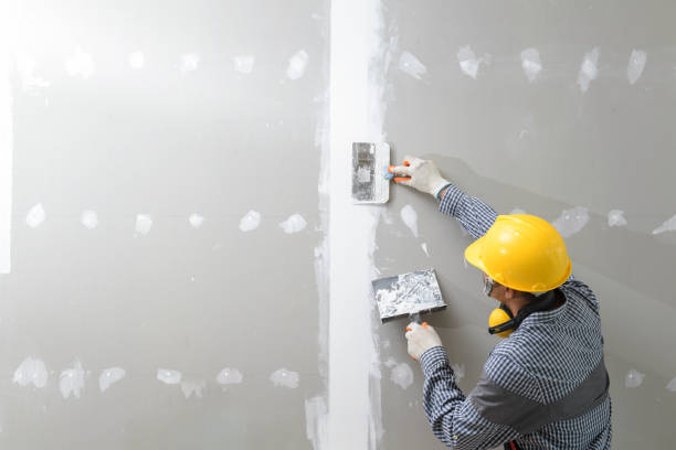 Best Attic Mold Removal  in Pahala, HI