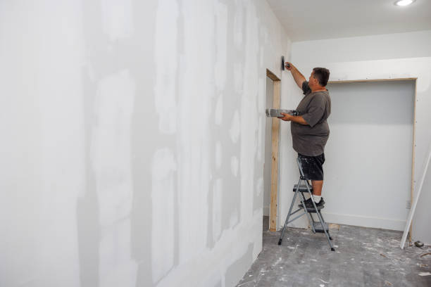 Best Mold Damage Restoration  in Pahala, HI