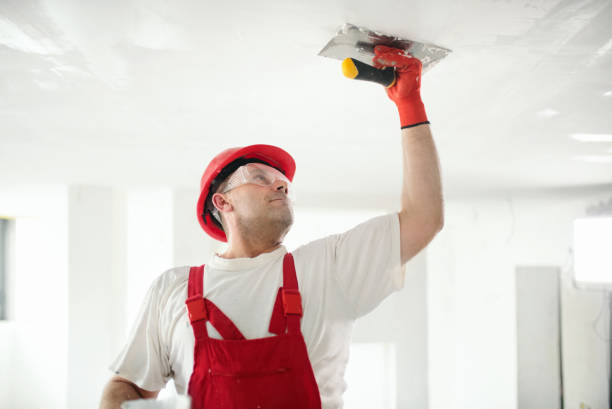 Best Mold Documentation for Insurance Claims  in Pahala, HI