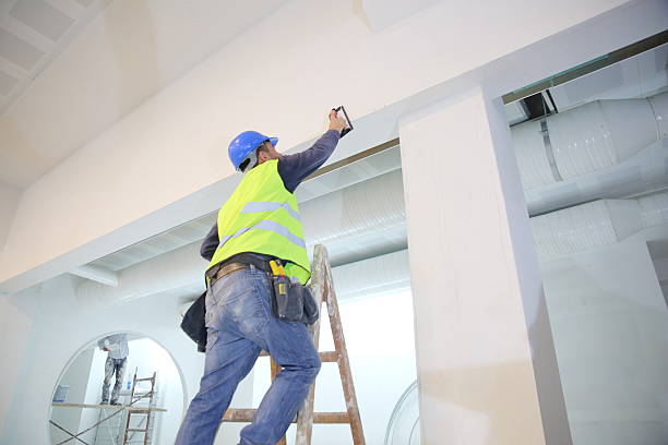 Best Commercial Mold Inspection  in Pahala, HI