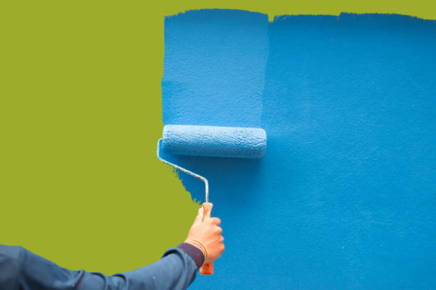 Best Environmental Consulting for Mold Prevention  in Pahala, HI